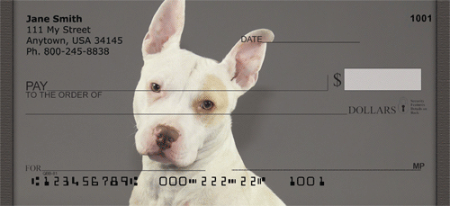 PitBull dogs Personal Checks
