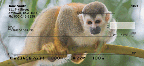 Jungle Monkeys Personal Checks