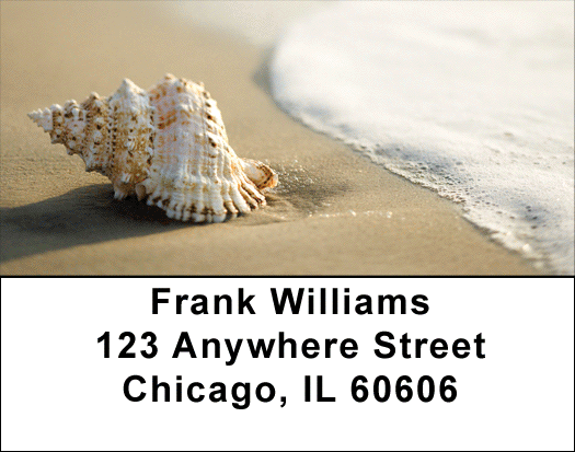 Sand and Shells Address Labels