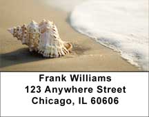 Sand and Shells Address Labels
