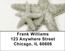 Shells In Taupes and Sage Address Labels