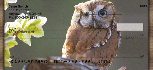 Owl Portraits Checks