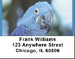 Parakeets In Paradise Address Labels