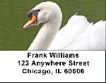 Swans A Swimming Address Labels