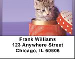 Kitten In A Box Address Labels