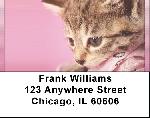 Playful Perky Kittens Address Labels