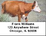 Cattle On Western Prairie Address Labels