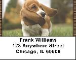 Basset Hound Puppy Address Labels