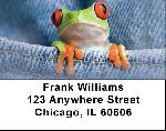 Frog In Your Pocket Address Labels