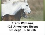For Horse Lovers Address Labels