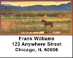Sunset In The Foothills Address Labels