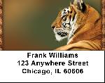 Wild As A Tiger Address Labels