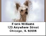 Chinese Crested Hairless Address Labels