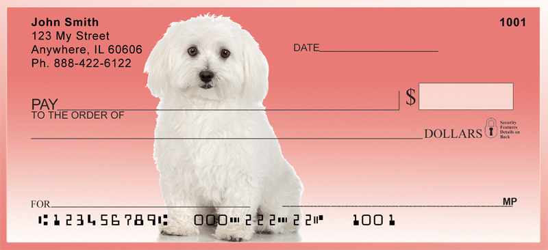 Adorable Bichons Personal Checks