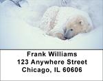 Cozy Address Labels