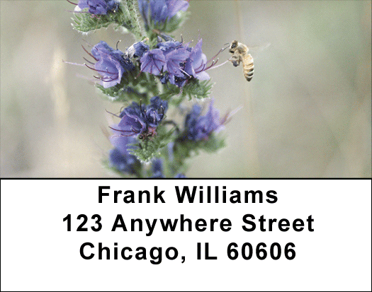 Busy Bees Address Labels
