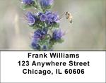 Busy Bees Address Labels