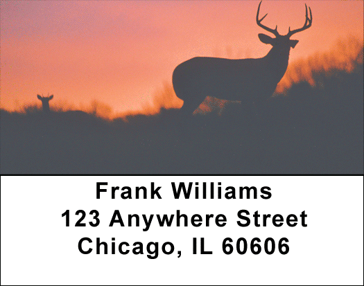 Deer Sunset Silhouettes Address Labels