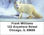 Fox In Winter Address Labels