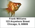 Goldfish Address Labels