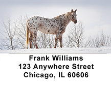 Appaloosa Address Labels