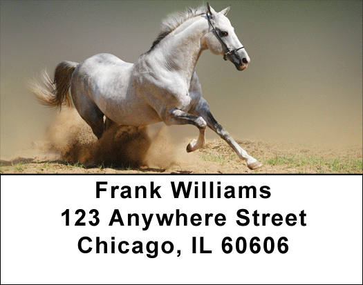 Playful Address Labels