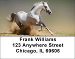 Playful Address Labels