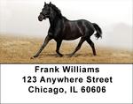Black Stallions Address Labels