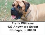 Mastiff Address Labels