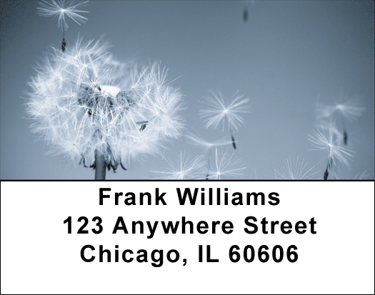 Put Dreams Into Motion Address Labels