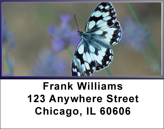 Lavender Blue Butterfly Address Labels