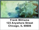 Nautical Message Address Labels