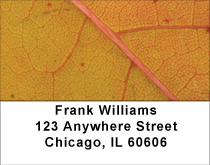 Falling Leaves Examined Address Labels