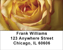 Everything Is Coming Up Roses Address Labels