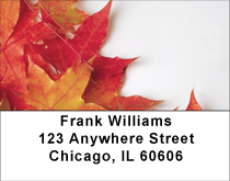 Fallen Colors On Fire Address Labels