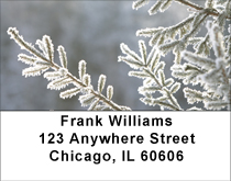 Snowy Look At Winter Address Labels