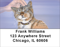 Affectionate Cats Address Labels