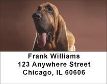 Bloodhound Portrait Address Labels