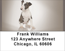 Adorable Bull Terriers Address Labels