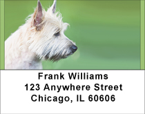 Cairn Terriers Address Labels