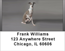 Greyhounds Address Labels