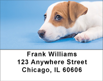 Jack Russell Puppy Love Address Labels