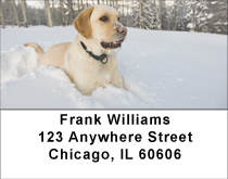 Labs For All Seasons Address Labels
