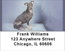 Manchester Terriers Address Labels