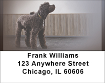 Portuguese Water Dogs Address Labels