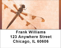 Dragonfly Days Address Labels