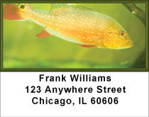 Fish Splendor Address Labels