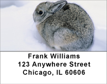 Snow Bunny Address Labels