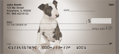 Adorable Bull Terriers