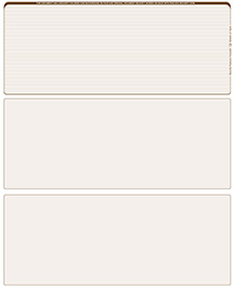 Tan Lines Blank Stock for Computer Voucher Checks Top Style